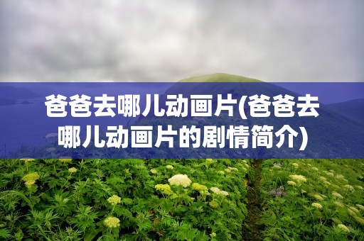 爸爸去哪儿动画片(爸爸去哪儿动画片的剧情简介)
