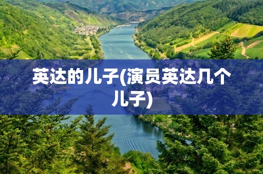 英达的儿子(演员英达几个儿子)