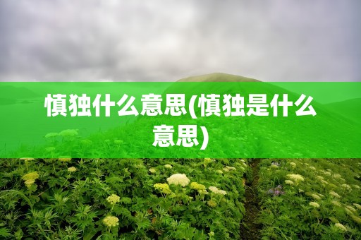 慎独什么意思(慎独是什么意思)