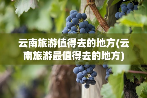 云南旅游值得去的地方(云南旅游最值得去的地方)