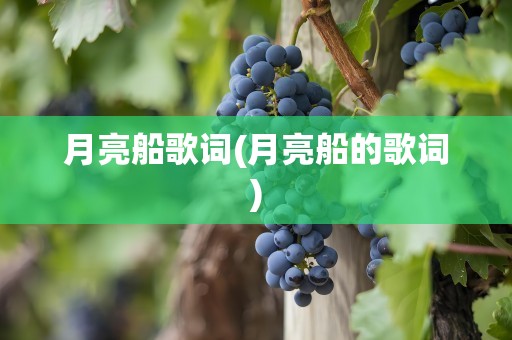 月亮船歌词(月亮船的歌词)