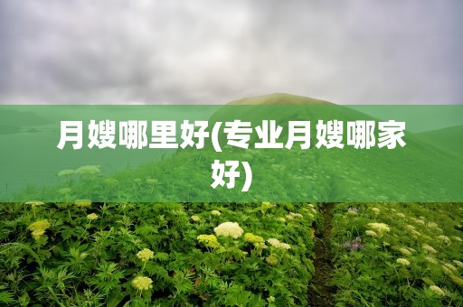 月嫂哪里好(专业月嫂哪家好)