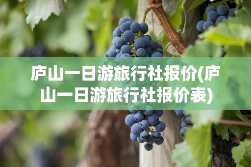 庐山一日游旅行社报价(庐山一日游旅行社报价表)