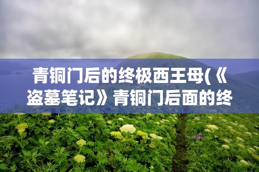 青铜门后的终极西王母(《盗墓笔记》青铜门后面的终极是什么)
