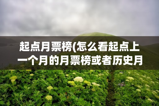 起点月票榜(怎么看起点上一个月的月票榜或者历史月票榜)