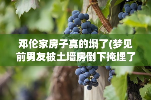 邓伦家房子真的塌了(梦见前男友被土墙房倒下掩埋了)