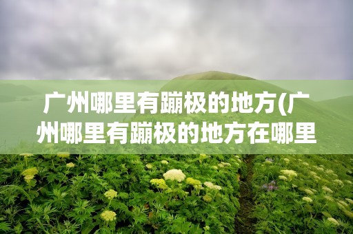 广州哪里有蹦极的地方(广州哪里有蹦极的地方在哪里)