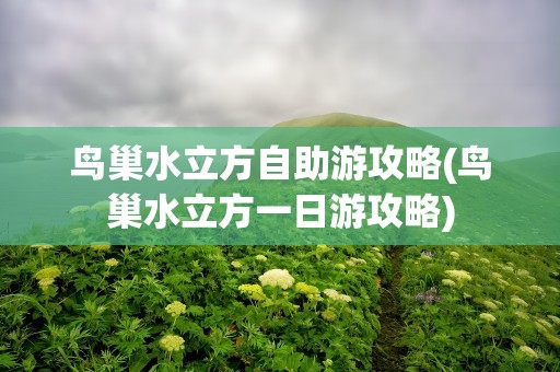 鸟巢水立方自助游攻略(鸟巢水立方一日游攻略)