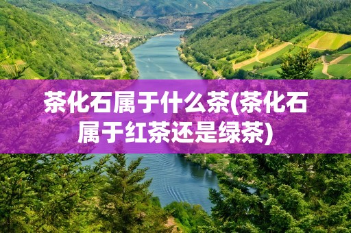 茶化石属于什么茶(茶化石属于红茶还是绿茶)