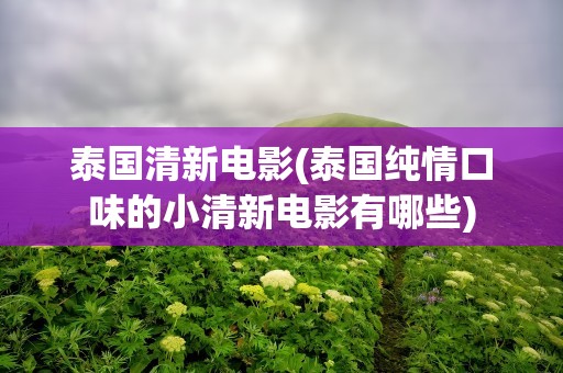 泰国清新电影(泰国纯情口味的小清新电影有哪些)