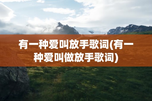有一种爱叫放手歌词(有一种爱叫做放手歌词)