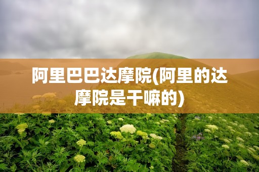阿里巴巴达摩院(阿里的达摩院是干嘛的)