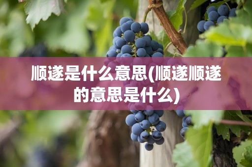 顺遂是什么意思(顺遂顺遂的意思是什么)