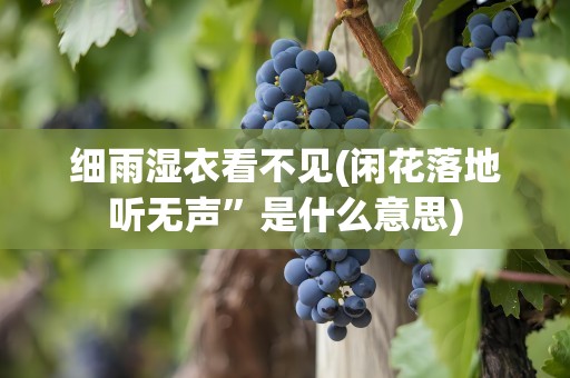 细雨湿衣看不见(闲花落地听无声”是什么意思)