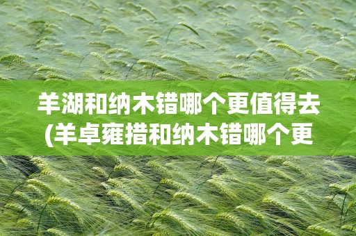 羊湖和纳木错哪个更值得去(羊卓雍措和纳木错哪个更值得去)