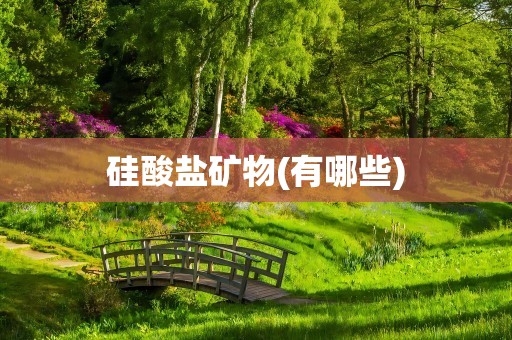 硅酸盐矿物(有哪些)