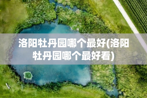 洛阳牡丹园哪个最好(洛阳牡丹园哪个最好看)