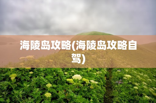 海陵岛攻略(海陵岛攻略自驾)