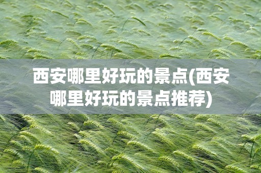 西安哪里好玩的景点(西安哪里好玩的景点推荐)