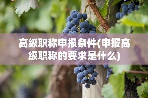 高级职称申报条件(申报高级职称的要求是什么)