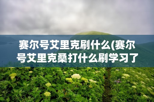 赛尔号艾里克刷什么(赛尔号艾里克桑打什么刷学习了(打什么精灵))