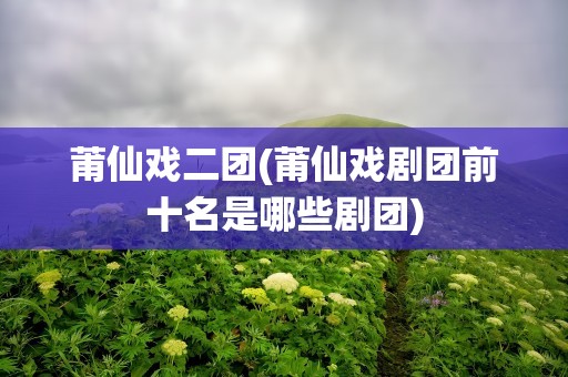 莆仙戏二团(莆仙戏剧团前十名是哪些剧团)