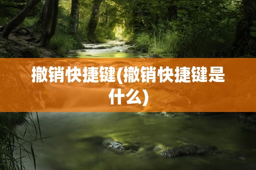 撤销快捷键(撤销快捷键是什么)