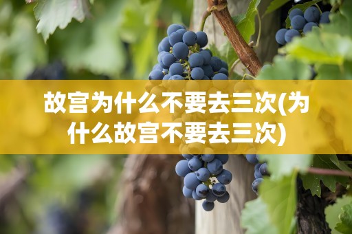 故宫为什么不要去三次(为什么故宫不要去三次)