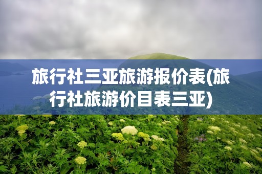 旅行社三亚旅游报价表(旅行社旅游价目表三亚)