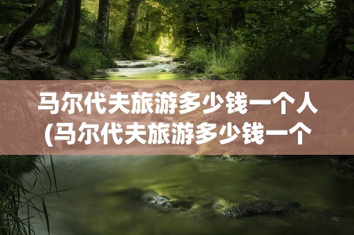 马尔代夫旅游多少钱一个人(马尔代夫旅游多少钱一个人住)