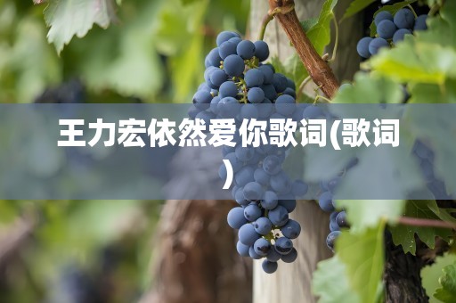 王力宏依然爱你歌词(歌词)