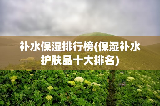 补水保湿排行榜(保湿补水护肤品十大排名)