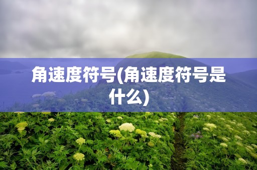 角速度符号(角速度符号是什么)