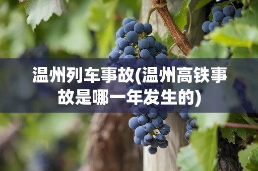 温州列车事故(温州高铁事故是哪一年发生的)