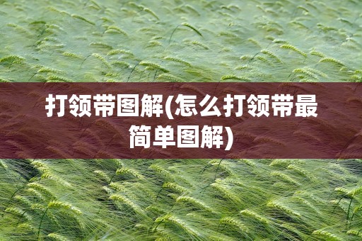 打领带图解(怎么打领带最简单图解)