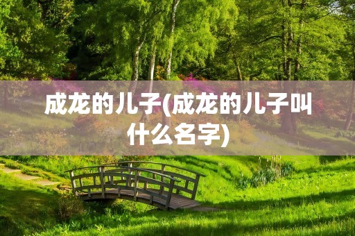成龙的儿子(成龙的儿子叫什么名字)