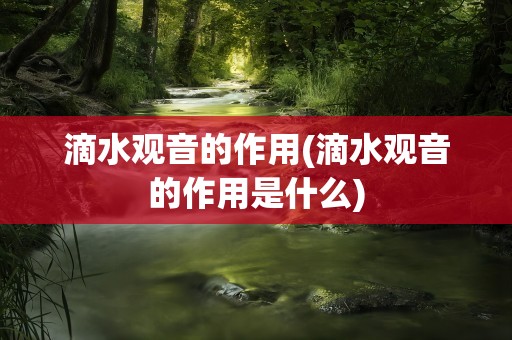 滴水观音的作用(滴水观音的作用是什么)