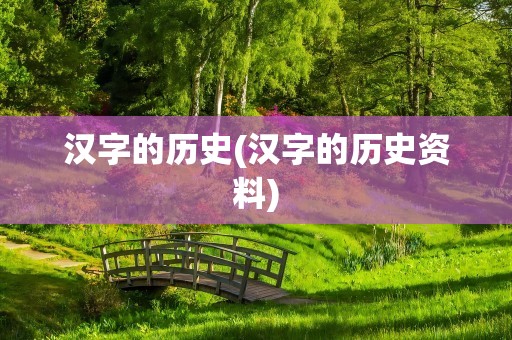 汉字的历史(汉字的历史资料)