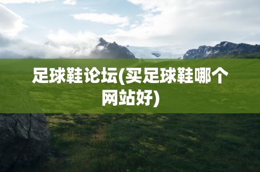 足球鞋论坛(买足球鞋哪个网站好)