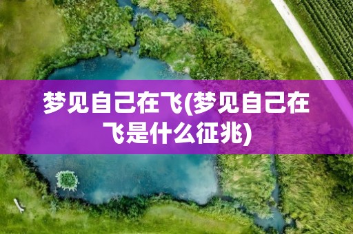梦见自己在飞(梦见自己在飞是什么征兆)