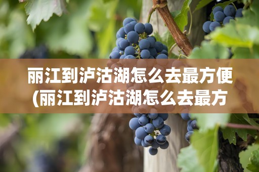 丽江到泸沽湖怎么去最方便(丽江到泸沽湖怎么去最方便自驾)