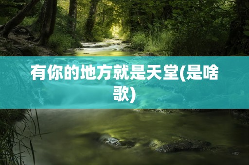 有你的地方就是天堂(是啥歌)