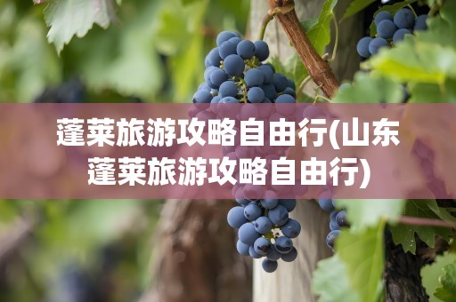 蓬莱旅游攻略自由行(山东蓬莱旅游攻略自由行)