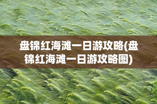 盘锦红海滩一日游攻略(盘锦红海滩一日游攻略图)