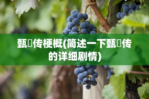 甄嬛传梗概(简述一下甄嬛传的详细剧情)