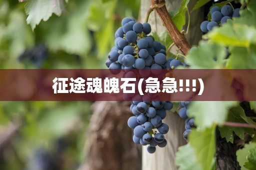 征途魂魄石(急急!!!)