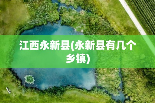 江西永新县(永新县有几个乡镇)