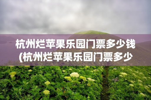 杭州烂苹果乐园门票多少钱(杭州烂苹果乐园门票多少钱价)