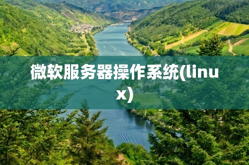 微软服务器操作系统(linux)