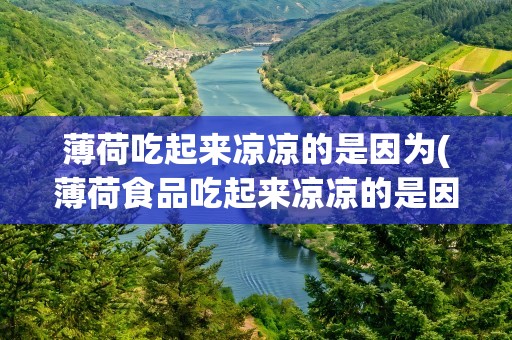 薄荷吃起来凉凉的是因为(薄荷食品吃起来凉凉的是因为)